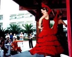 flamenco,_the_blonde.jpg